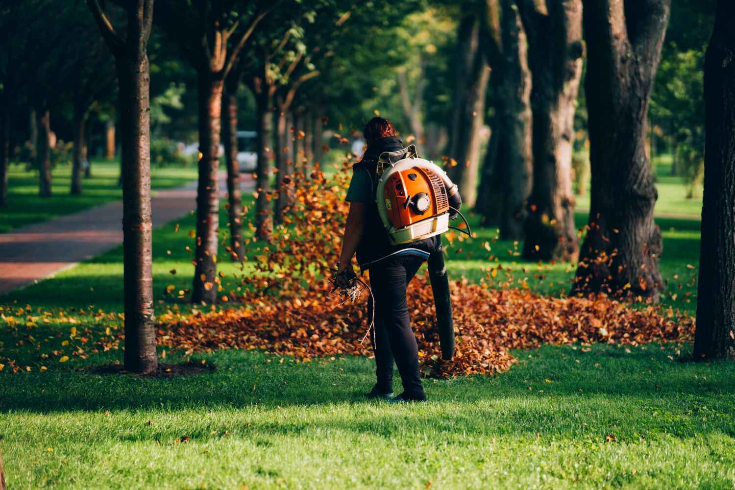 Best Arborist Services Near Me  in Pinewood, FL